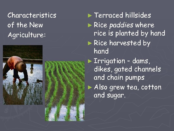 Characteristics of the New Agriculture: ► Terraced hillsides ► Rice paddies where rice is