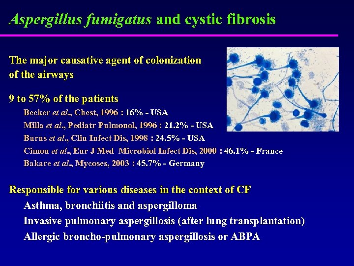 Aspergillus fumigatus and cystic fibrosis The major causative agent of colonization of the airways