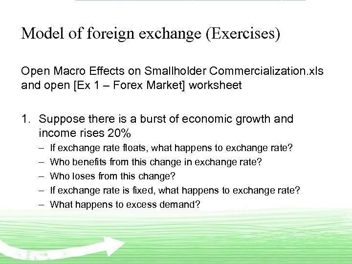 Model of foreign exchange (Exercises) Open Macro Effects on Smallholder Commercialization. xls and open