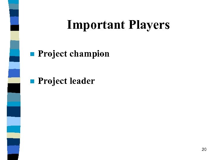 Important Players n Project champion n Project leader 20 