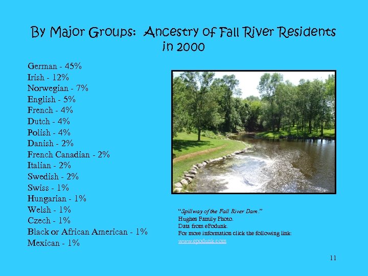 By Major Groups: Ancestry of Fall River Residents in 2000 German - 45% Irish