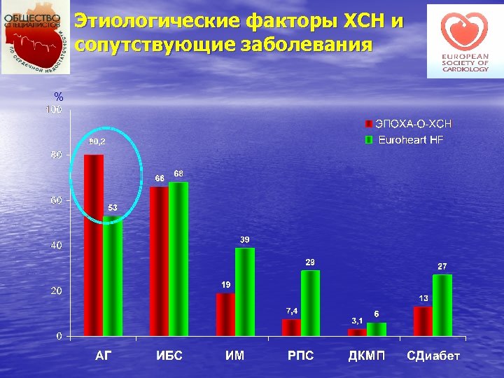 Этиологические факторы ХСН и сопутствующие заболевания % 