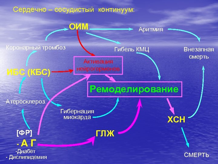 Сердечно – сосудистый континуум: ОИМ Аритмия Коронарный тромбоз ИБС (КБС) Гибель КМЦ Внезапная смерть