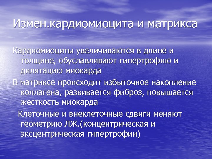 Измен. кардиомиоцита и матрикса Кардиомиоциты увеличиваются в длине и толщине, обуславливают гипертрофию и дилятацию