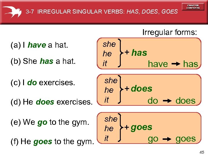 3 -7 IRREGULAR SINGULAR VERBS: HAS, DOES, GOES Irregular forms: (a) I have a