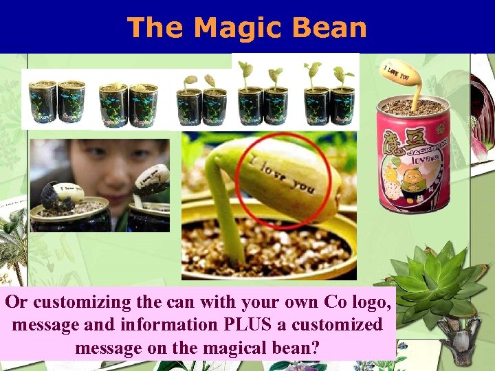 The Magic Bean Or customizing the can with your own Co logo, message and