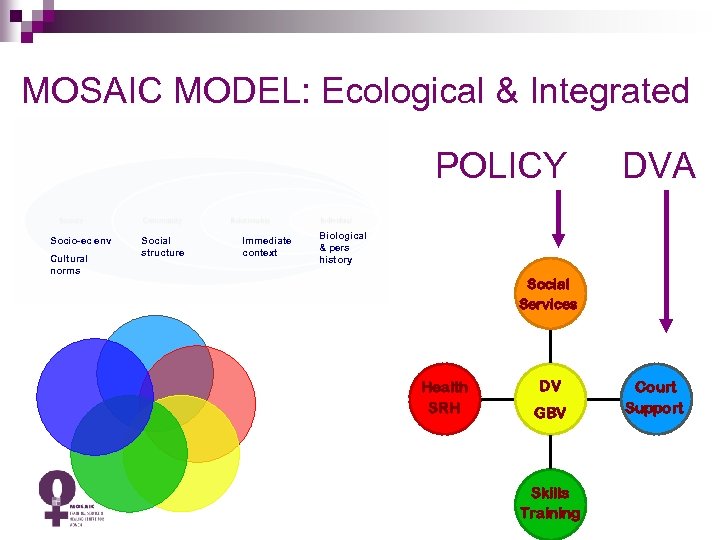 MOSAIC MODEL: Ecological & Integrated POLICY Socio-ec env Cultural norms Social structure Immediate context