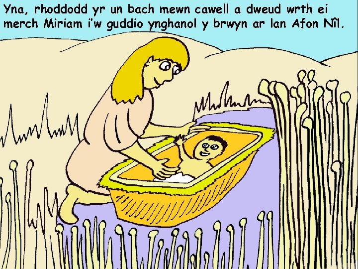 Yna, rhoddodd yr un bach mewn cawell a dweud wrth ei merch Miriam i’w