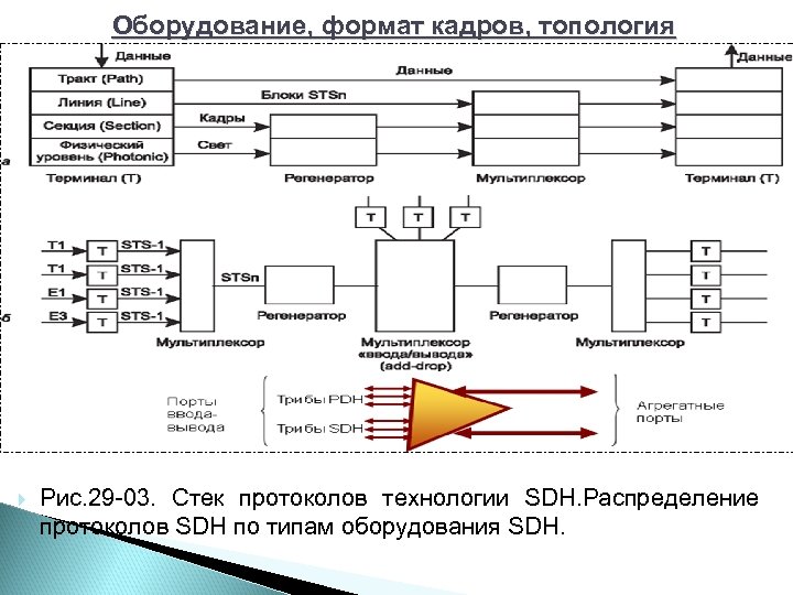 Оборудование, формат кадров, топология Рис. 29 03. Стек протоколов технологии SDH. Распределение протоколов SDH