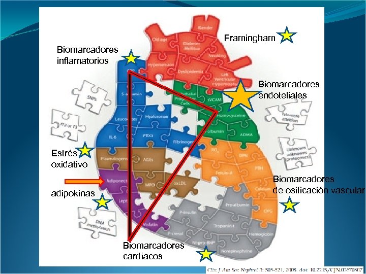 Framingham Biomarcadores inflamatorios Biomarcadores endoteliales Estrés oxidativo Biomarcadores de osificación vascular adipokinas Biomarcadores cardíacos