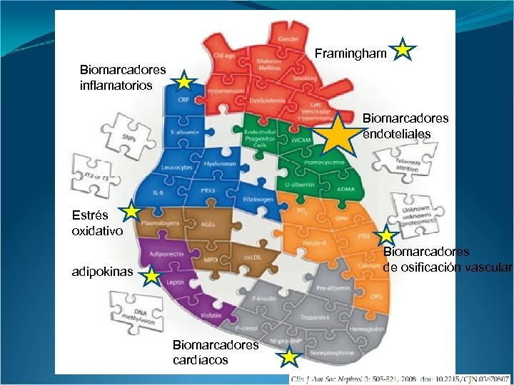 Framingham Biomarcadores inflamatorios Biomarcadores endoteliales Estrés oxidativo Biomarcadores de osificación vascular adipokinas Biomarcadores cardíacos