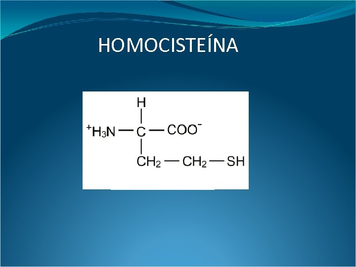 HOMOCISTEÍNA 