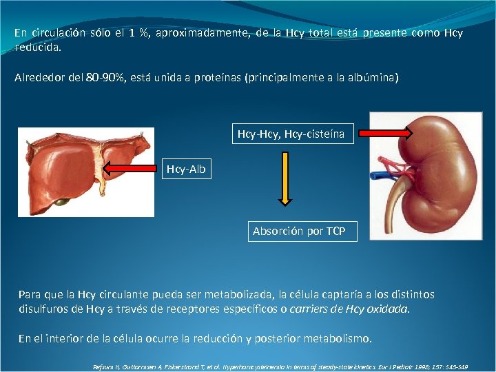 En circulación sólo el 1 %, aproximadamente, de la Hcy total está presente como