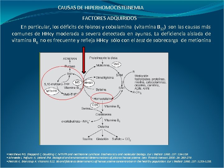 CAUSAS DE HIPERHOMOCISTEINEMIA FACTORES ADQUIRIDOS En particular, los déficits de folatos y cobalamina (vitamina