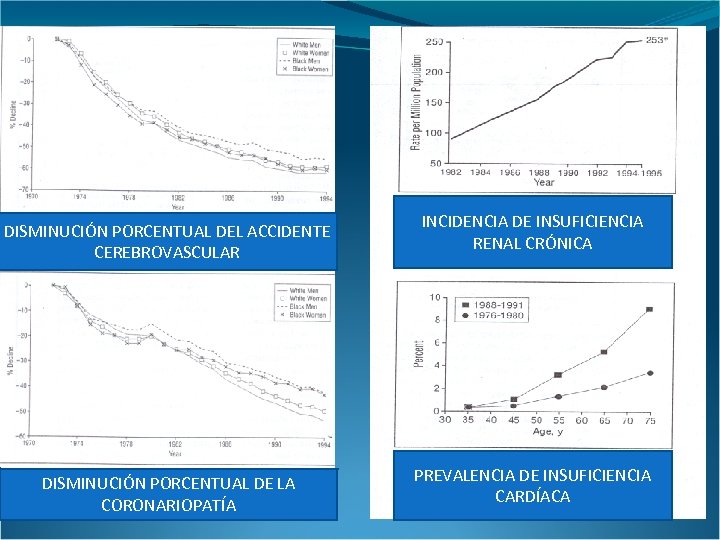 DISMINUCIÓN PORCENTUAL DEL ACCIDENTE CEREBROVASCULAR DISMINUCIÓN PORCENTUAL DE LA CORONARIOPATÍA INCIDENCIA DE INSUFICIENCIA RENAL