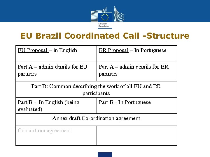 EU Brazil Coordinated Call -Structure EU Proposal – in English BR Proposal – In