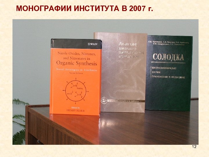 МОНОГРАФИИ ИНСТИТУТА В 2007 г. 12 