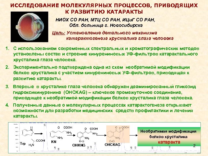 Молекулярные процессы. Изучение молекулярных процессов. НИОХ-14 препарат. Процессы молекулярка.