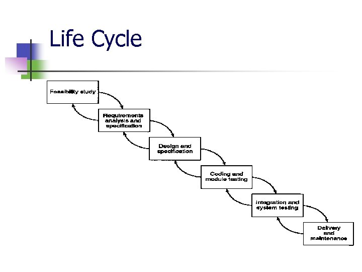 Life Cycle 