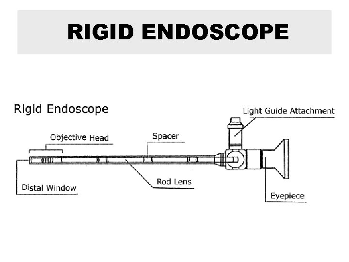 RIGID ENDOSCOPE 