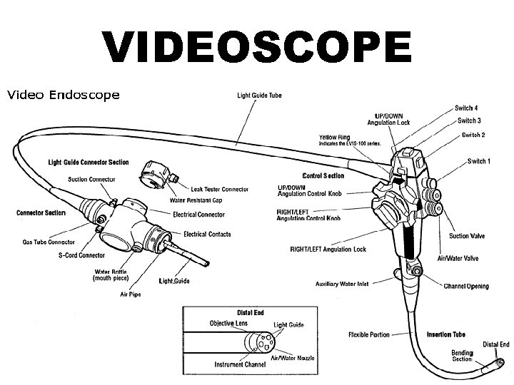 VIDEOSCOPE 