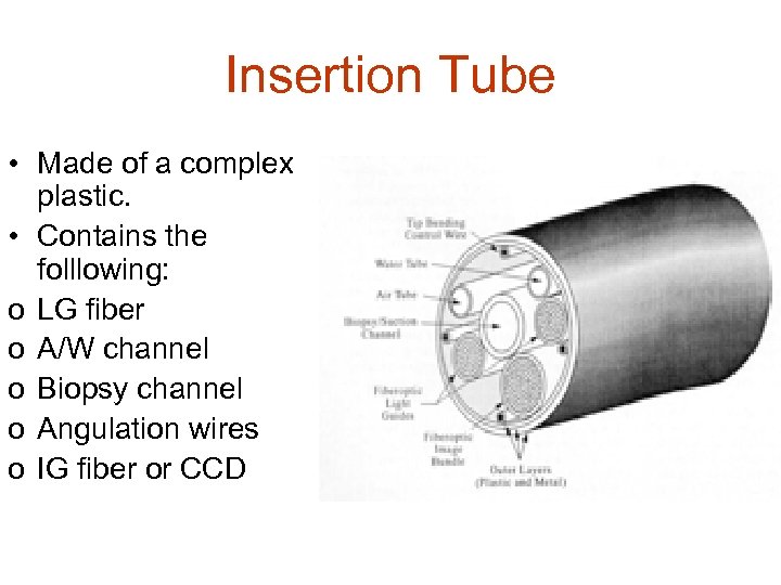 Insertion Tube • Made of a complex plastic. • Contains the folllowing: o LG