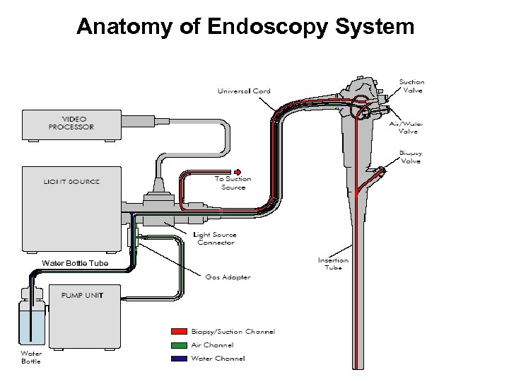 Anatomy of Endoscopy System 