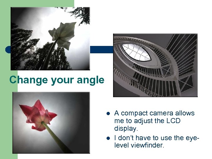 Change your angle l l A compact camera allows me to adjust the LCD