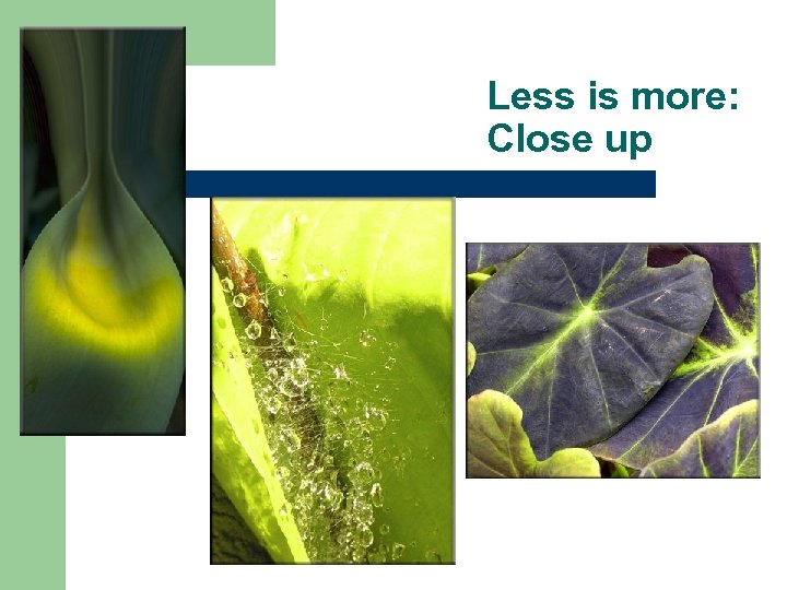 Less is more: Close up 