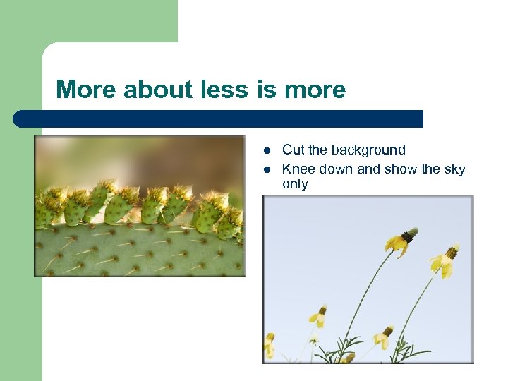More about less is more l l Cut the background Knee down and show