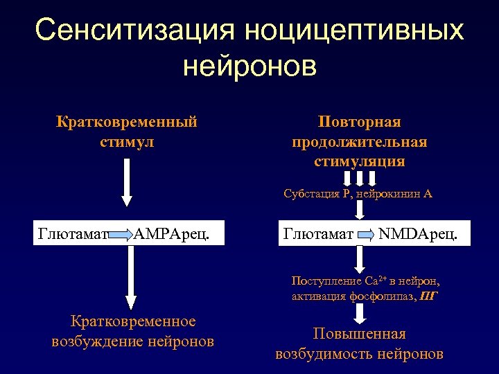 Сенситизация ноцицептивных нейронов Кратковременный стимул Повторная продолжительная стимуляция Субстация Р, нейрокинин А Глютамат АМРАрец.
