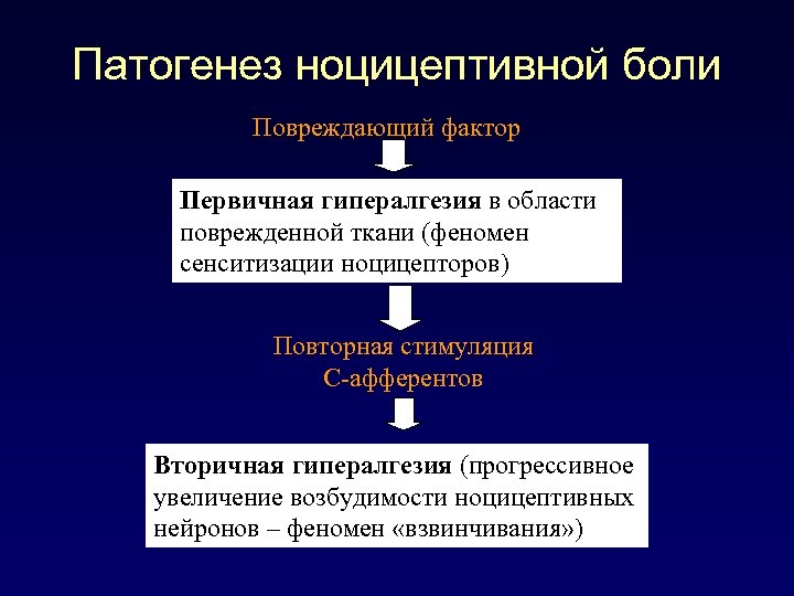 Основные механизмы боли схема