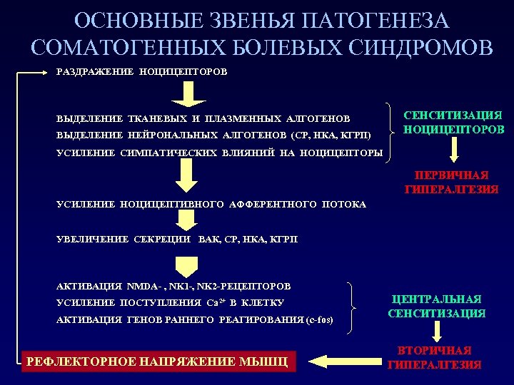 ОСНОВНЫЕ ЗВЕНЬЯ ПАТОГЕНЕЗА СОМАТОГЕННЫХ БОЛЕВЫХ СИНДРОМОВ РАЗДРАЖЕНИЕ НОЦИЦЕПТОРОВ ВЫДЕЛЕНИЕ ТКАНЕВЫХ И ПЛАЗМЕННЫХ АЛГОГЕНОВ ВЫДЕЛЕНИЕ