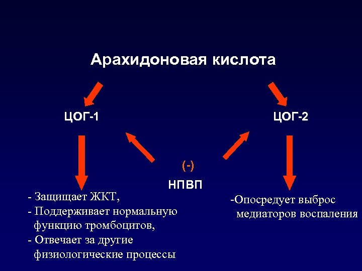 Арахидоновая кислота ЦОГ-1 ЦОГ-2 (-) НПВП - Защищает ЖКТ, - Поддерживает нормальную функцию тромбоцитов,