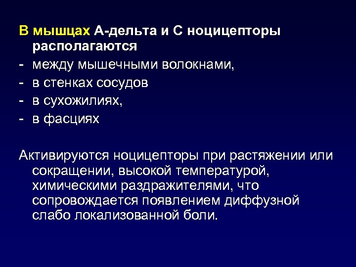 В мышцах А-дельта и С ноцицепторы располагаются - между мышечными волокнами, - в стенках