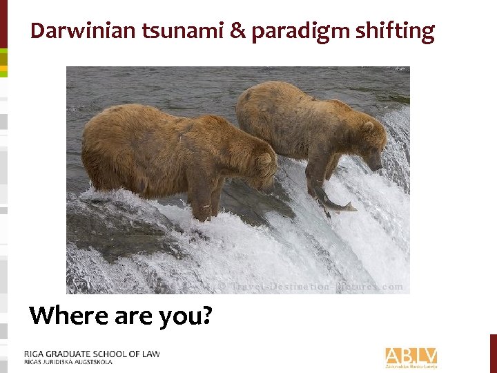 Darwinian tsunami & paradigm shifting Where are you? 