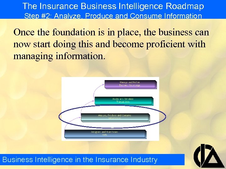 The Insurance Business Intelligence Roadmap Step #2: Analyze, Produce and Consume Information Once the
