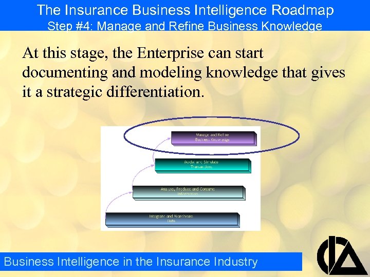 The Insurance Business Intelligence Roadmap Step #4: Manage and Refine Business Knowledge At this