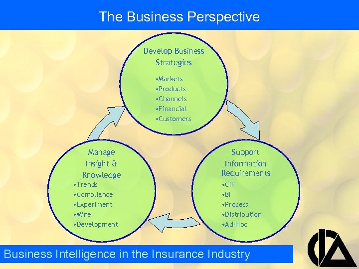 The Business Perspective Develop Business Strategies • Markets • Products • Channels • Financial