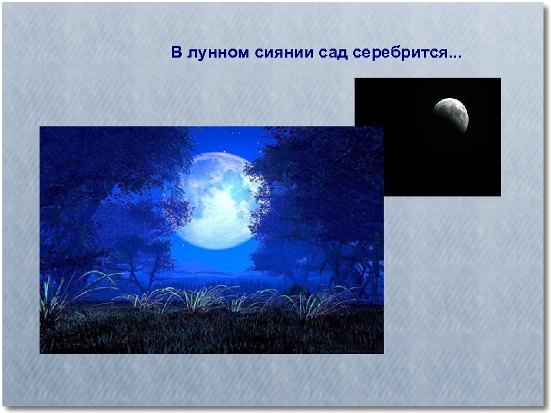 В лунном сиянии сад серебрится. . . 