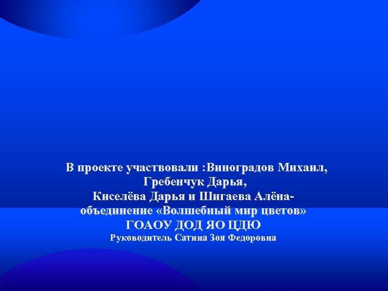 В проекте участвовали : Виноградов Михаил, Гребенчук Дарья, Киселёва Дарья и Шигаева Алёнаобъединение «Волшебный