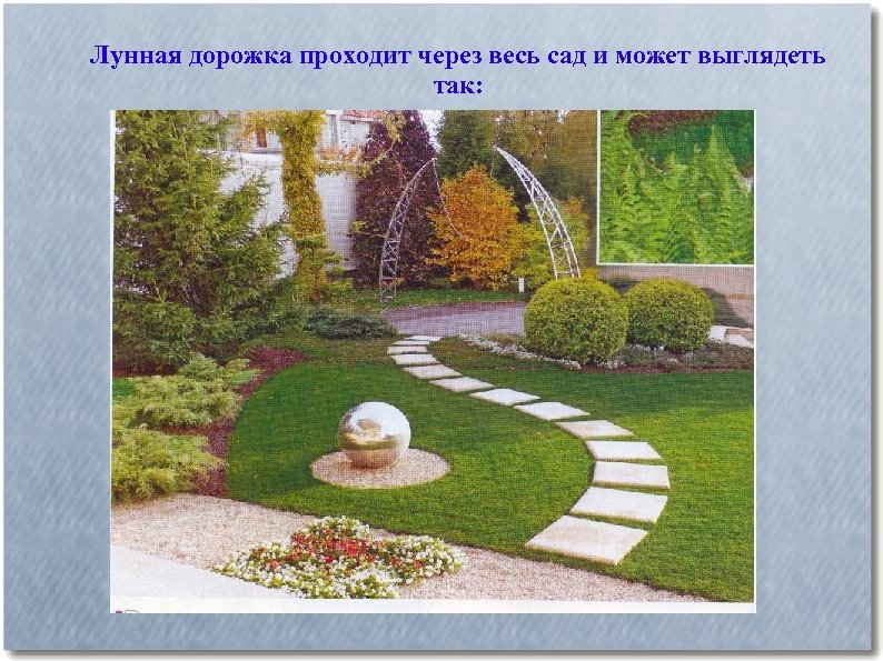 Лунная дорожка проходит через весь сад и может выглядеть так: 