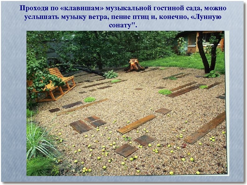 Проходя по «клавишам» музыкальной гостиной сада, можно услышать музыку ветра, пение птиц и, конечно,