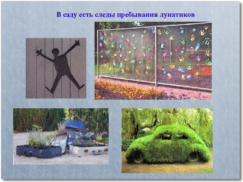 В саду есть следы пребывания лунатиков 