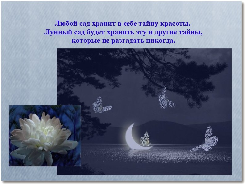 Любой сад хранит в себе тайну красоты. Лунный сад будет хранить эту и другие