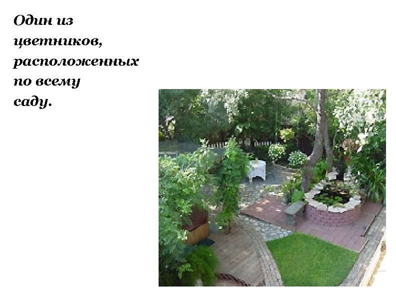 Один из цветников, расположенных по всему саду. 