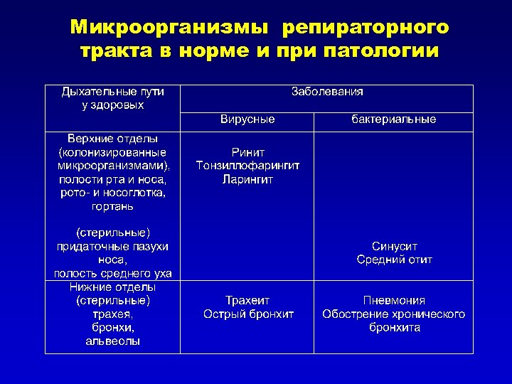 Микроорганизмы репираторного тракта в норме и при патологии 