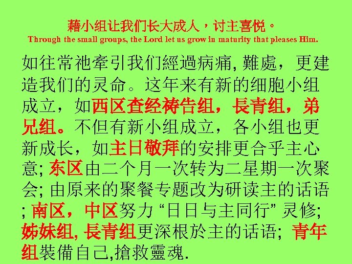 藉小组让我们长大成人，讨主喜悦。 Through the small groups, the Lord let us grow in maturity that pleases