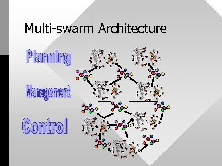 Multi-swarm Architecture 