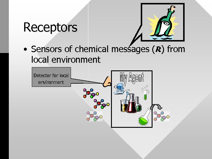 Receptors • Sensors of chemical messages (R) from local environment Detector for local environment